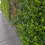 CameraID=2FrameCount=0configID=lutID=lutFilename=configFilename=gemini-code-1783619801978.xmlconfigN
