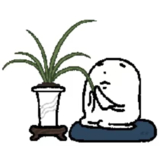 1000067351.png