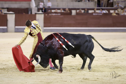 image00016