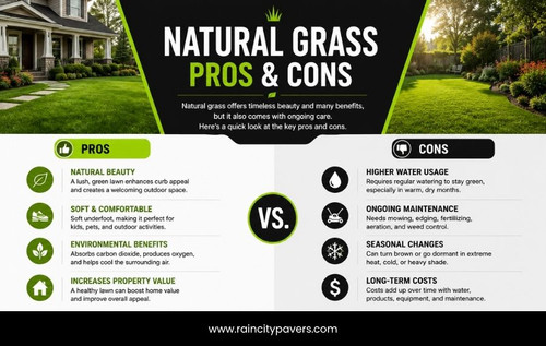Pros and Cons of Real Grass Is a Natural Lawn Right for You.jpg