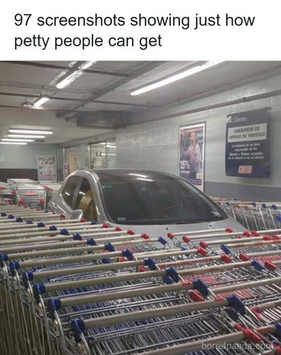 funny pics.jpg