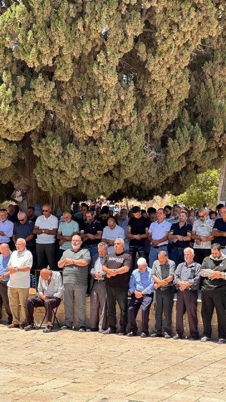 صورة الخبر