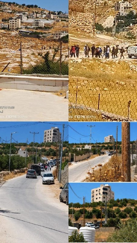 صورة الخبر