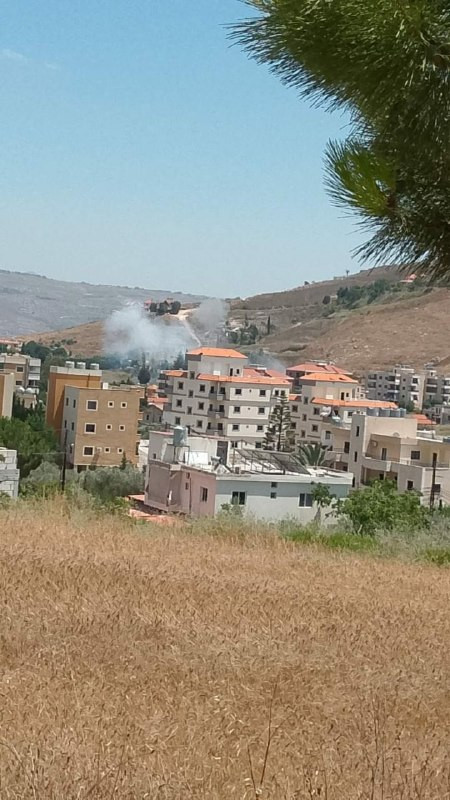 صورة الخبر
