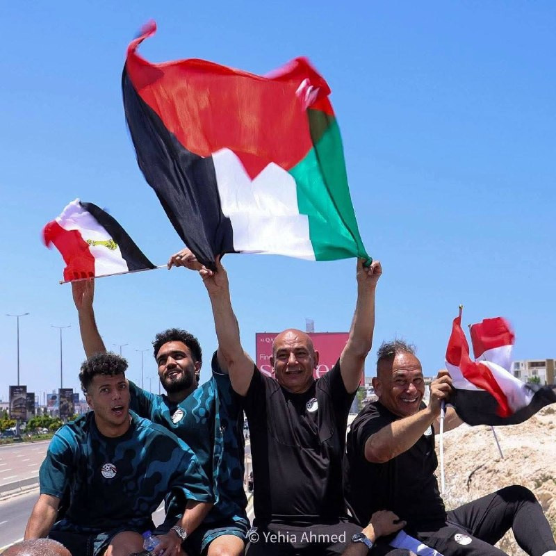 صورة الخبر