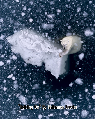 2 images (6).png