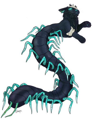 IMG 9649.png