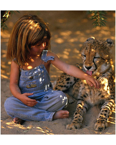 real life mowgli tippi degre african wildlife 3 bordered.jpg