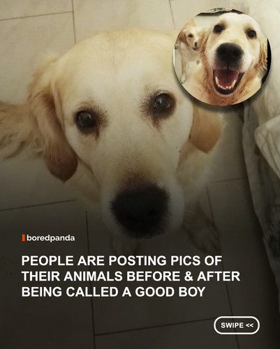 swipe to read.jpg