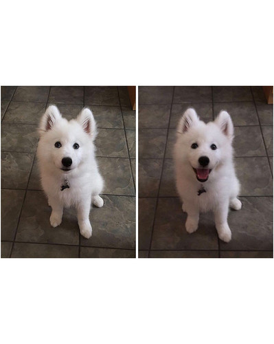 before after called good boy 31 5860dd76280d7 700 bordered.jpg