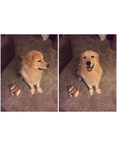 before after called good boy 33 5860dd9f67152 700 bordered.jpg