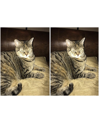 before after called good boy 3 5860c748a77ff 700 bordered.jpg