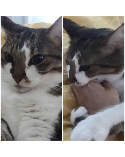 before after called good boy 23 5860d1a0e8e2b 700 bordered.jpg