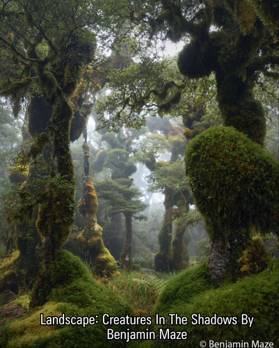 2 images (7).png