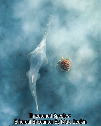 2 images (3).png