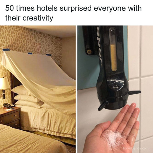 curiosities funny.jpg