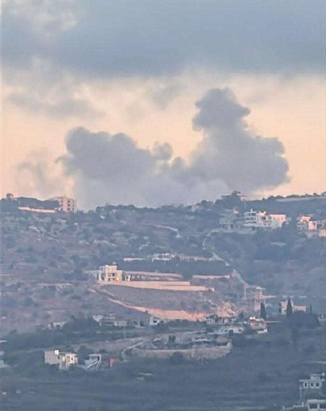 صورة الخبر