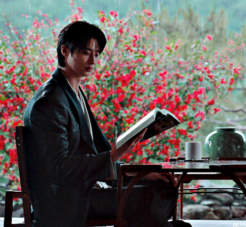 tumblr 1091f271e307e4fb36bb44683e122a40 e23cda2a 540.gif