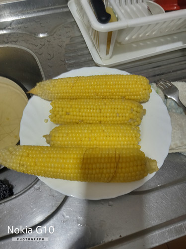 1000030659.jpg