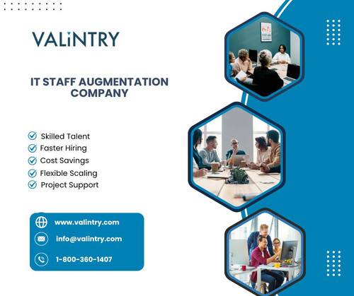IT Staff Augmentation Company.jpg