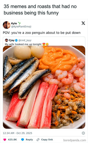 funny random memes roast (1).jpg