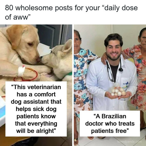 wholesome posts pics dailydoseofaww (1).jpg