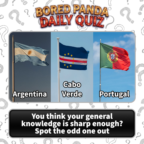 image (23).png