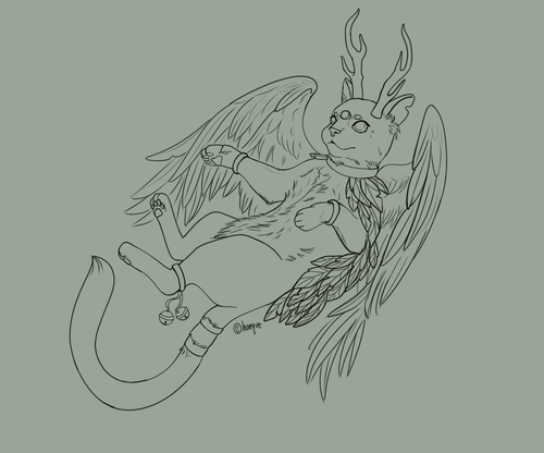 IMG 9660.png