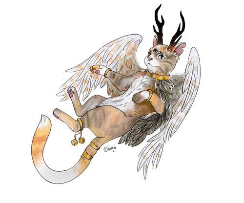 IMG 9662.png
