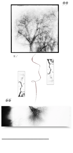 无标题2 20260711135256 edit 484519764229059.png
