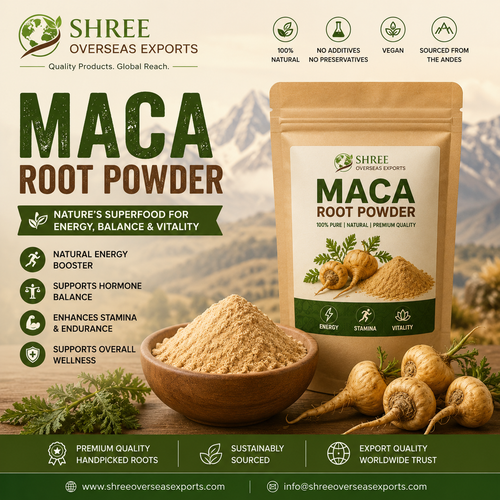 Organic Maca Root Powder The Complete Guide to Benefits, Quality, and Bulk Purchasing.png