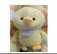 image.2