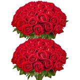 us%2FRZMGHSHS60PCJZU97001V0%2Fgoods img big v1%2Fartificial roses in bulk m100 1.2