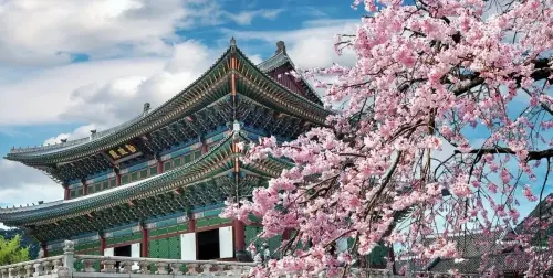 South Korea (6) Copy.4