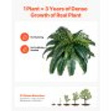 us%2FPZSRZJLZWBHHEY962001V0%2Fgoods thumb v1%2Fartificial ferns f3