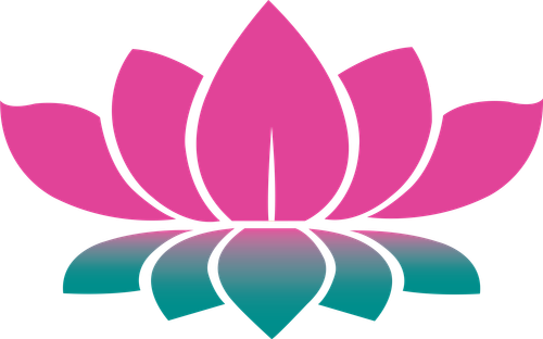 434 4342569 free lotus flower png lotus hd png.2