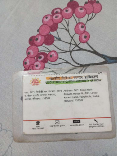 784d3fb772aa.jpg