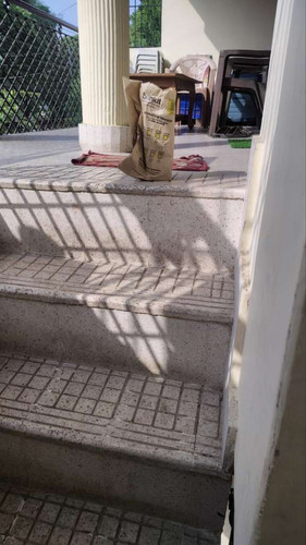 1ece693875d8.jpg