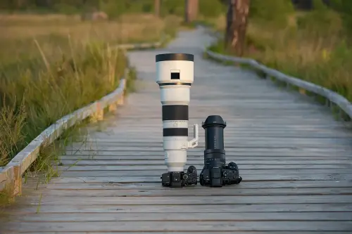 d83df0898c11.webp