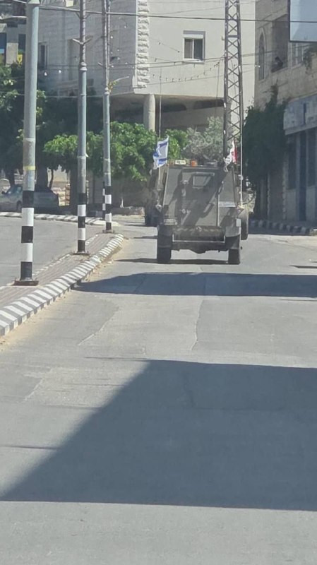 صورة الخبر
