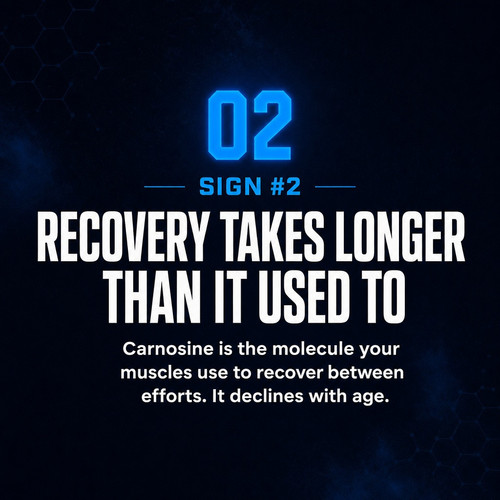 dd17b7ed8add.jpg