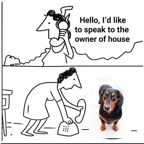 aGyXQ07 460swp.png