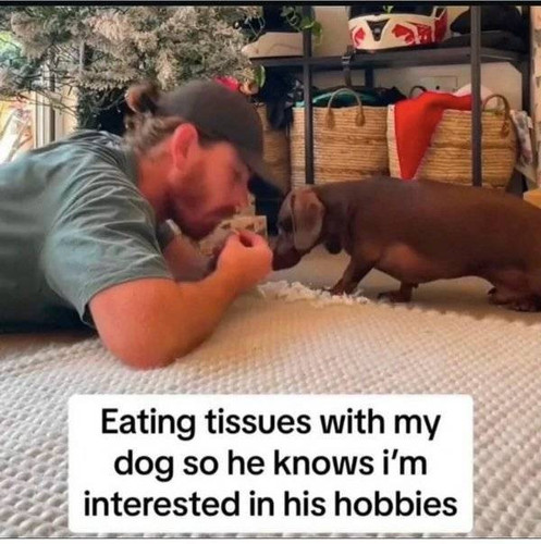 pure unfiltered dank memes 640 high 26.jpg