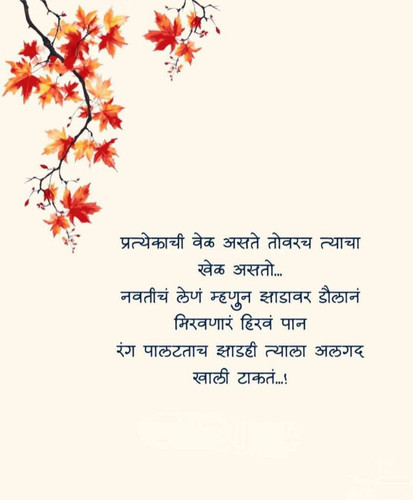 74c54bb3266d.jpg