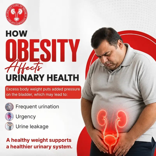 How Obesity Affects Urinary Health.jpg