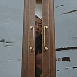 жп21в 08.gif