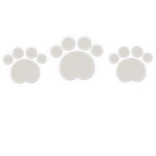 26F64EE2 8CA2 4450 A70A 4AEA6A72FAC1.png