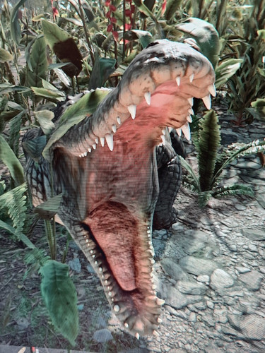 Crocodile Smile.jpg