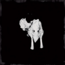 30cc511b5184.png