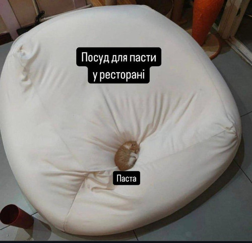 oIgpnHVHmYW4rE9YPJuNzYvc0Ge5z8QSMM4FAXwiXIzObdTiVI5WsH4Jm 4CBwxvrVXdYXw8BgUyznuO wfo9mTJtn5kYsz85qAx.jpg
